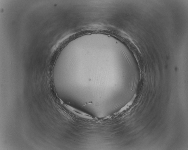 X0000067511304200604281558