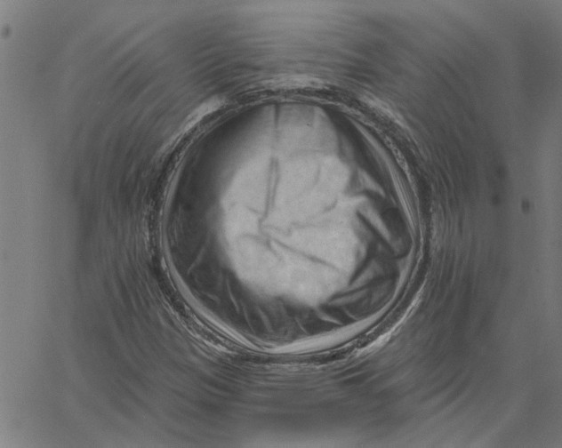 X0000067511305200604281558