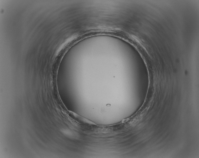 X0000067511307200604281558