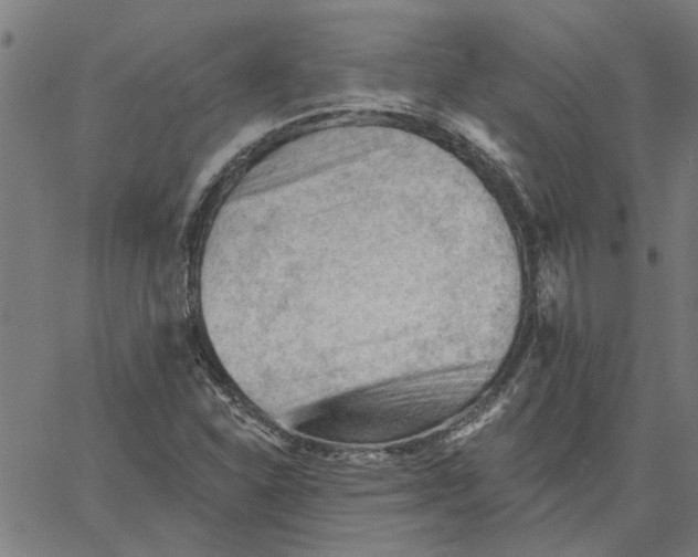 X0000067511310200604281558