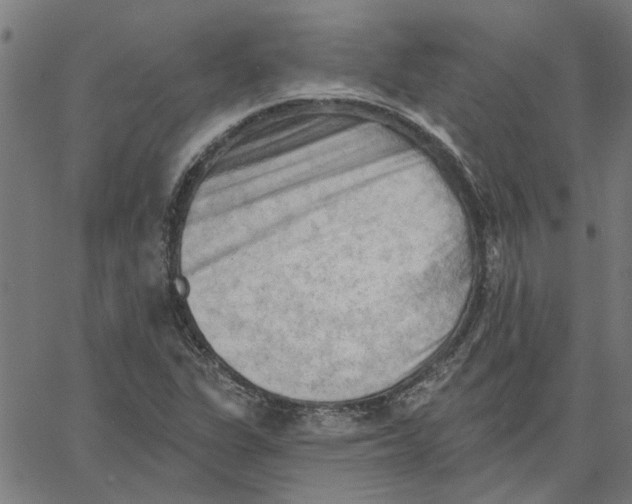 X0000067511311200604281558