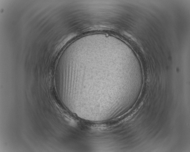 X0000067511313200604281558