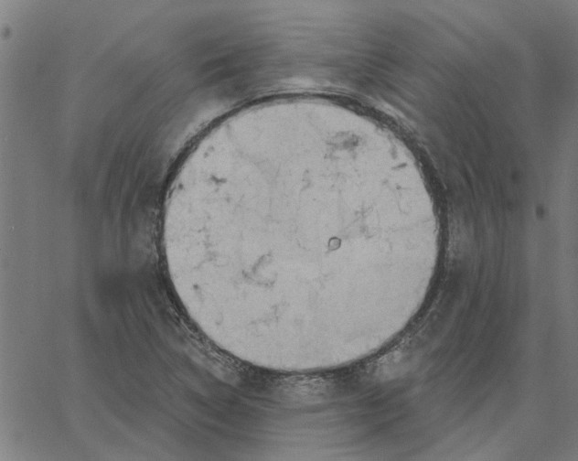 X0000067511314200604281558