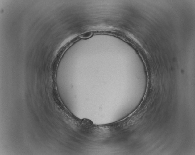 X0000067511315200604281558