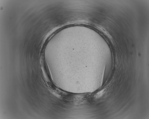 X0000067511316200604281558