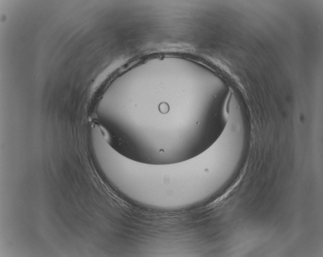 X0000067511317200604281558