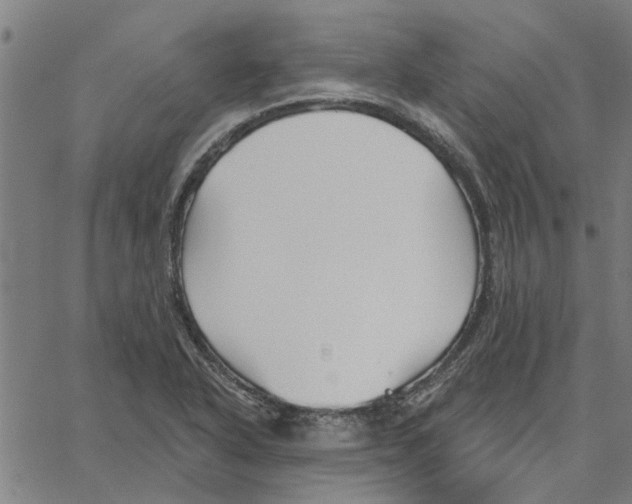 X0000067511318200604281558