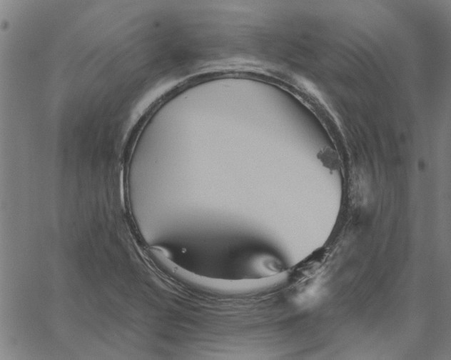 X0000067511320200604281558