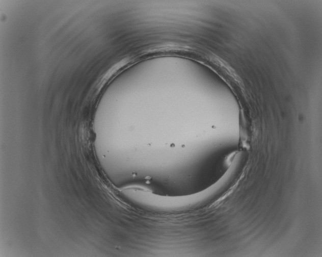 X0000067511321200604281558