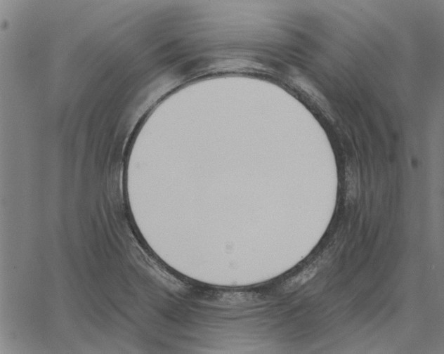 X0000067511322200604281558