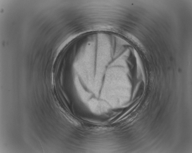 X0000067511324200604281558