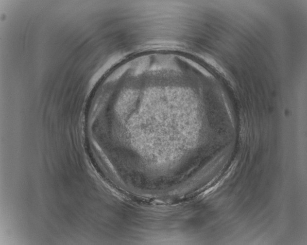 X0000067511325200604281558