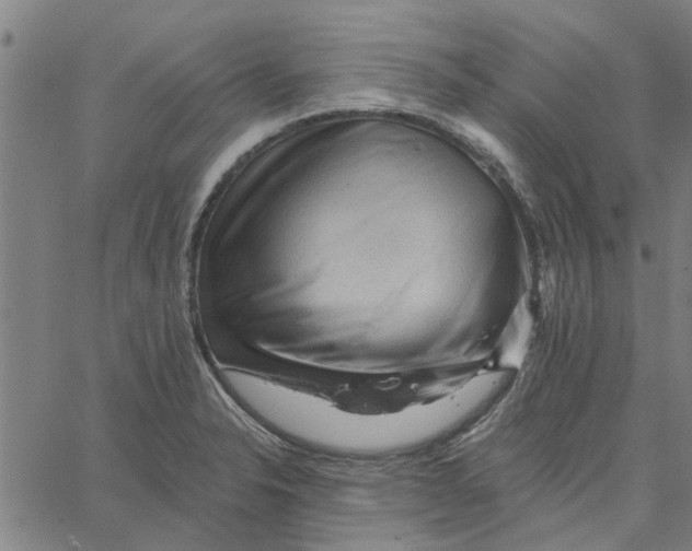 X0000067511326200604281558