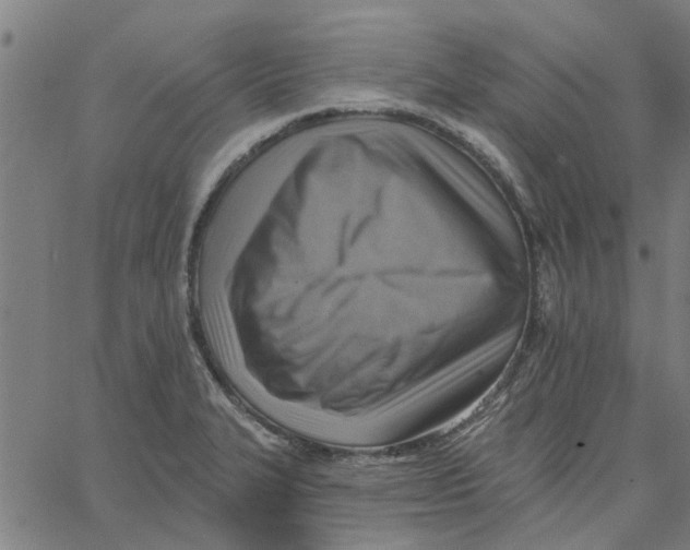 X0000067511327200604281558