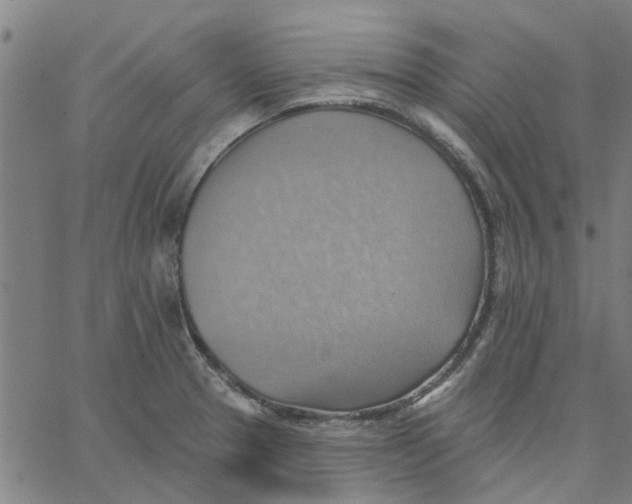 X0000067511329200604281558