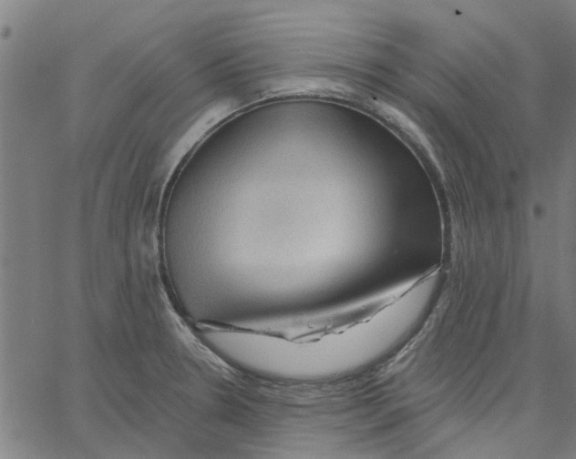 X0000067511330200604281558