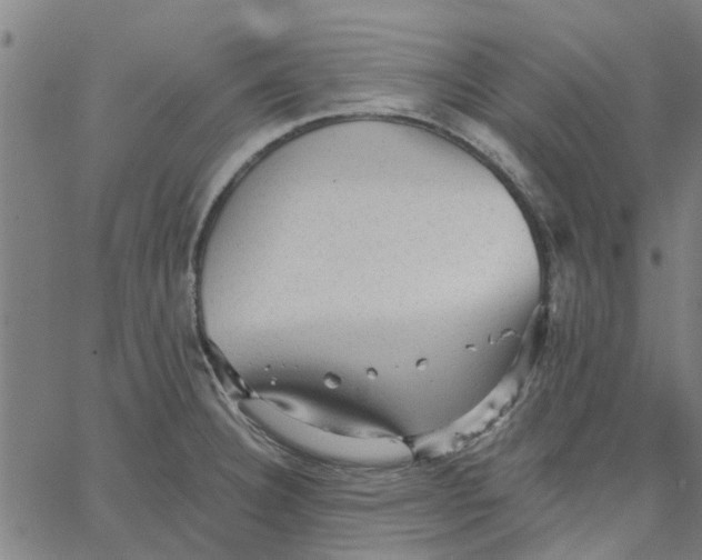 X0000067511332200604281558