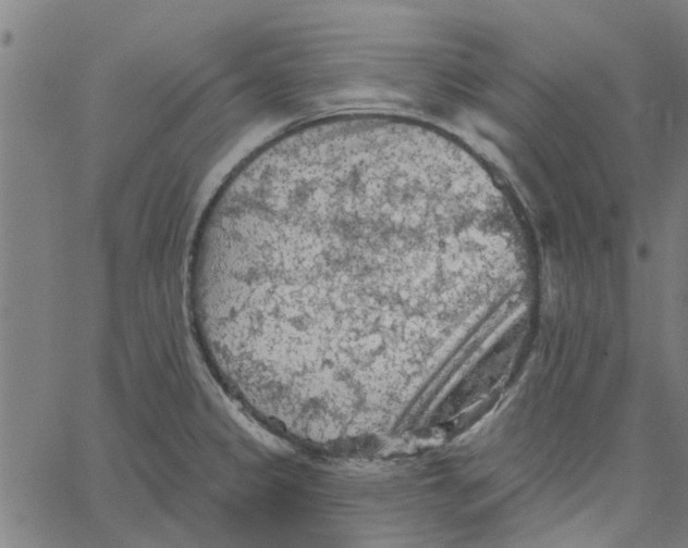 X0000067511333200604281558