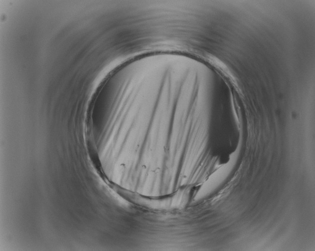 X0000067511334200604281558