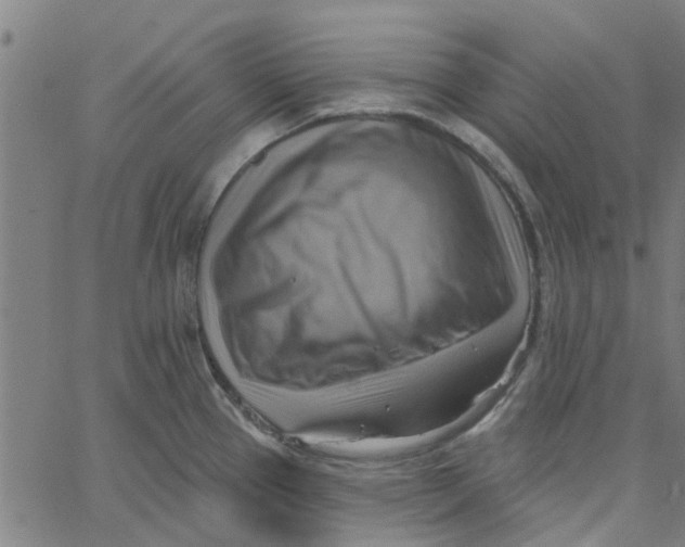 X0000067511337200604281558