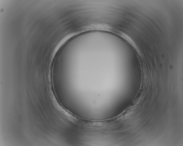 X0000067511339200604281558