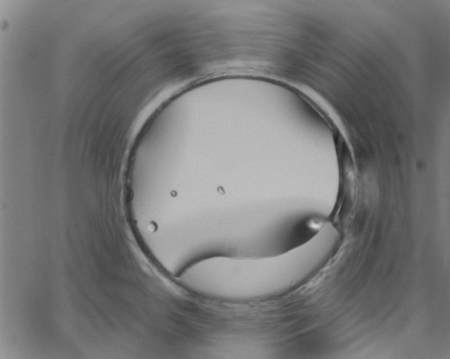 X0000067511341200604281558