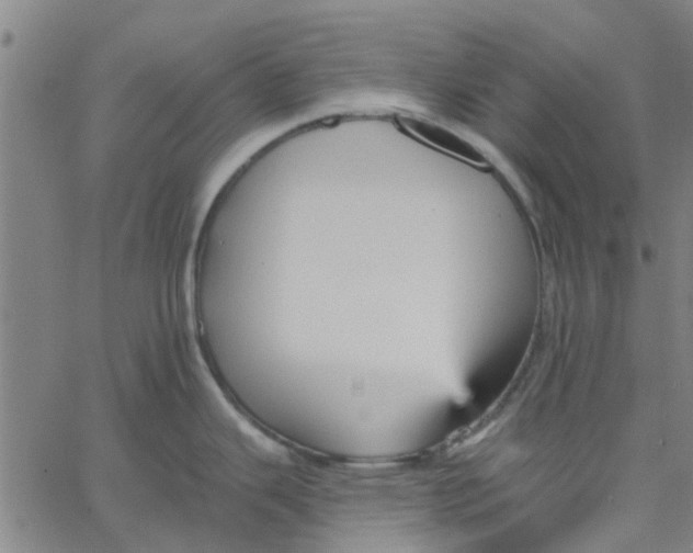 X0000067511343200604281559