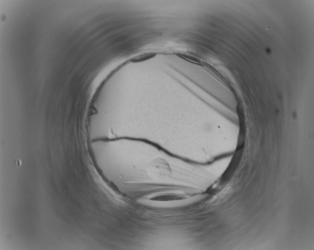 X0000067511344200604281559