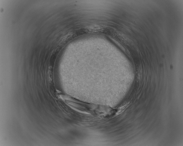 X0000067511346200604281558