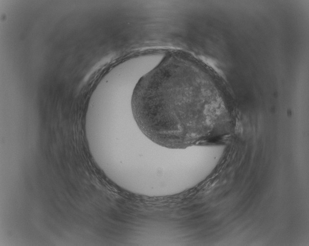 X0000067511351200604281558