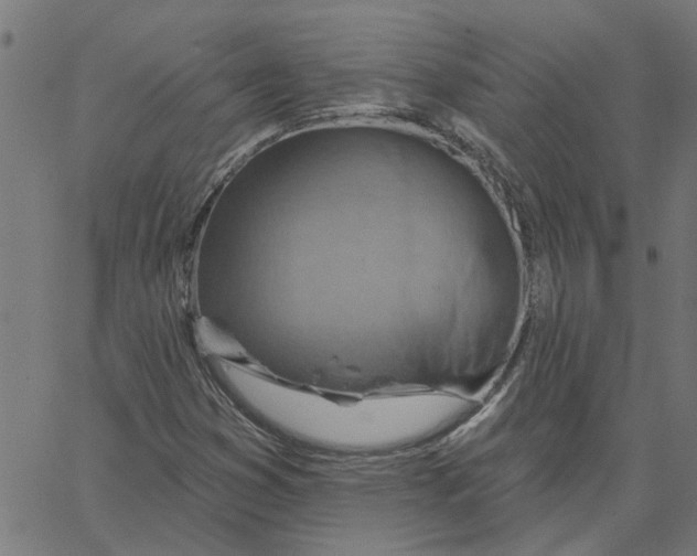 X0000067511353200604281558