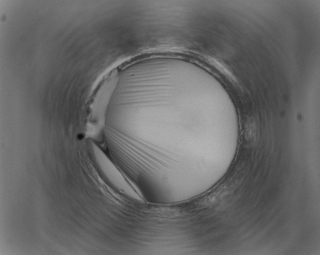 X0000067511356200604281558