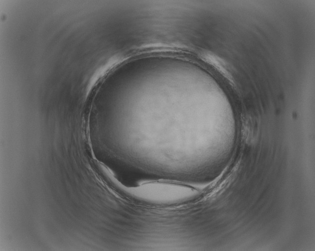 X0000067511357200604281558