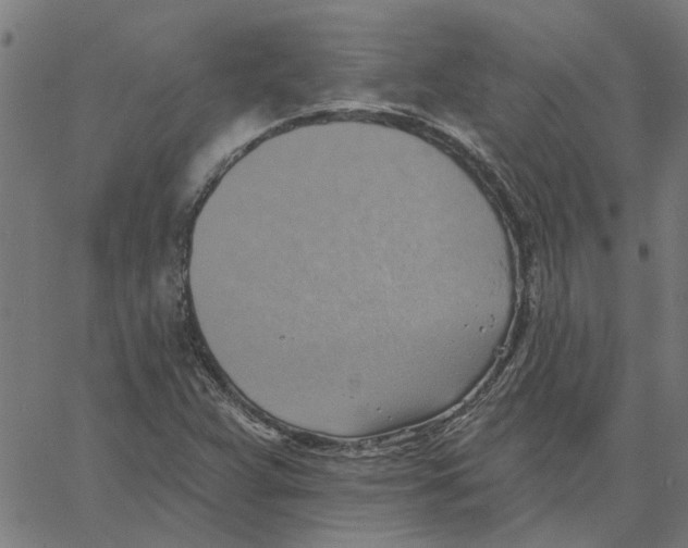 X0000067511359200604281557