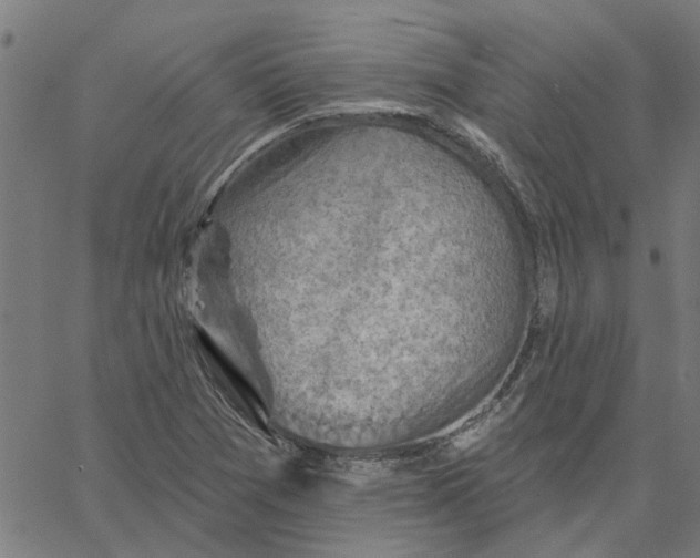 X0000067511361200604281557