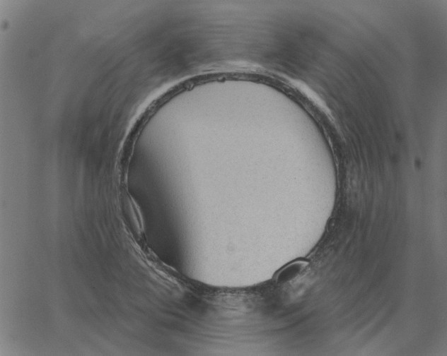 X0000067511364200604281557