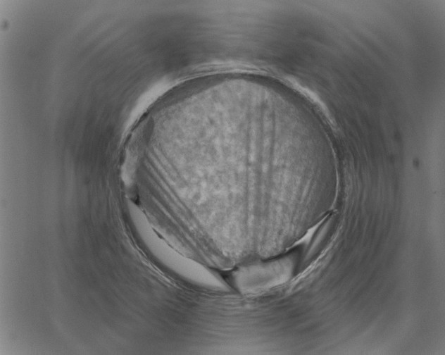 X0000067511365200604281557