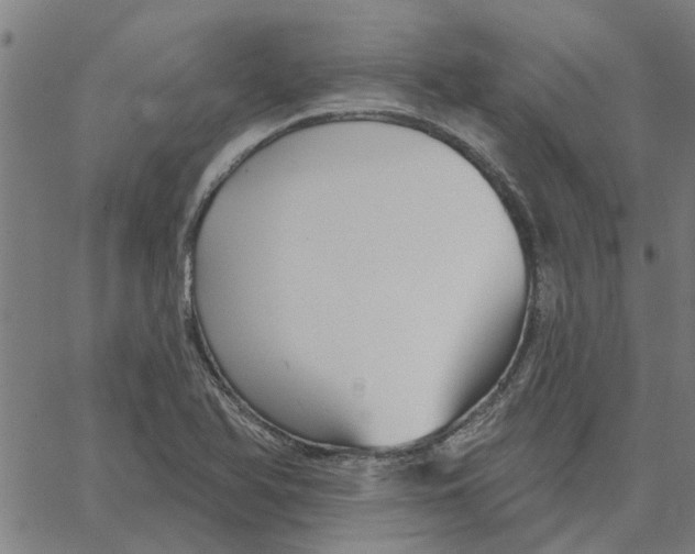 X0000067511366200604281557