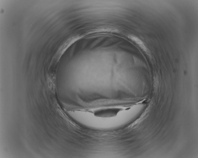 X0000067511369200604281557