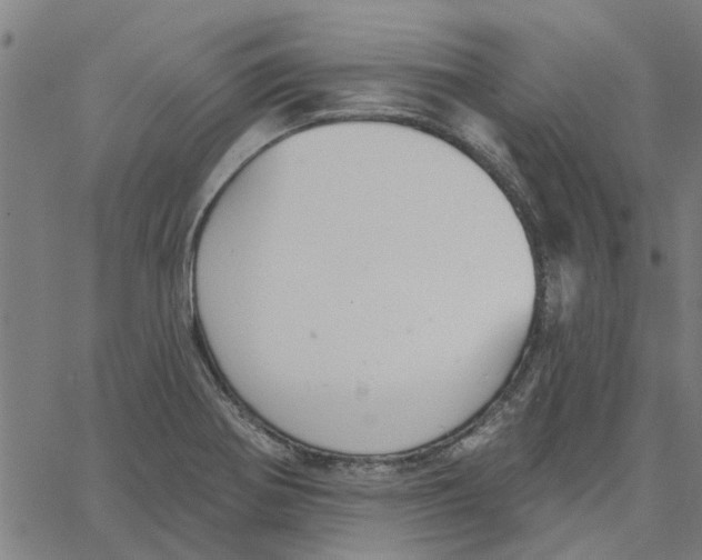 X0000067511370200604281557