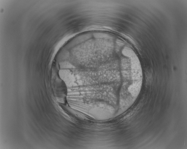 X0000067511371200604281557