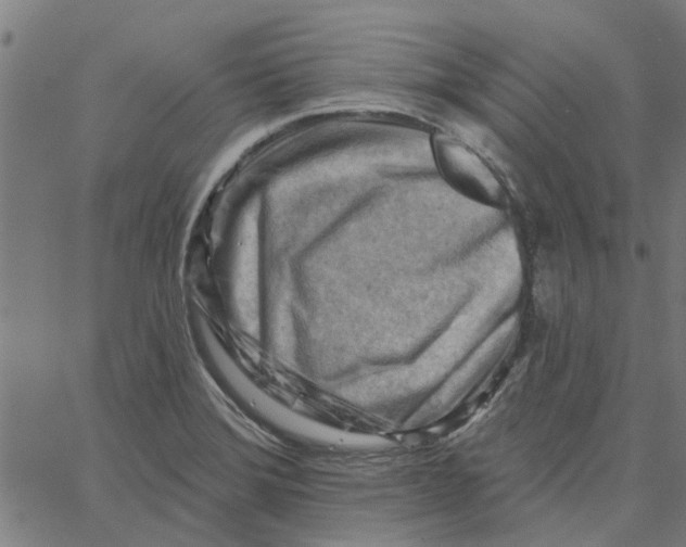 X0000067511372200604281557