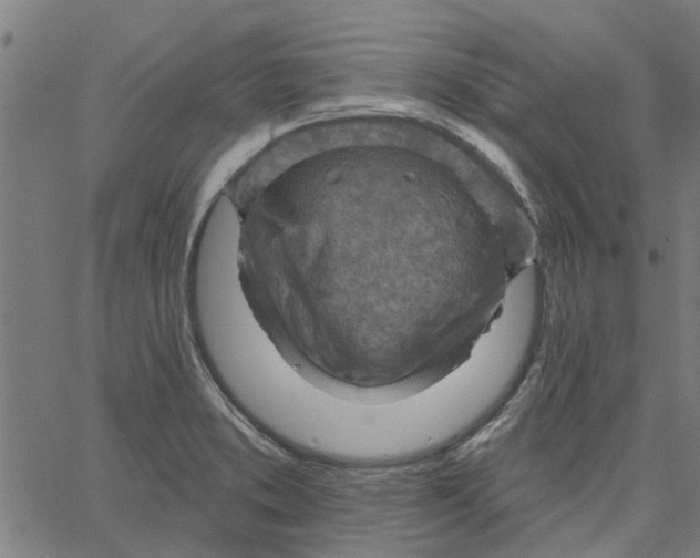 X0000067511373200604281557