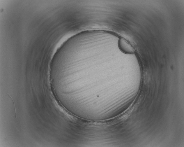 X0000067511374200604281557