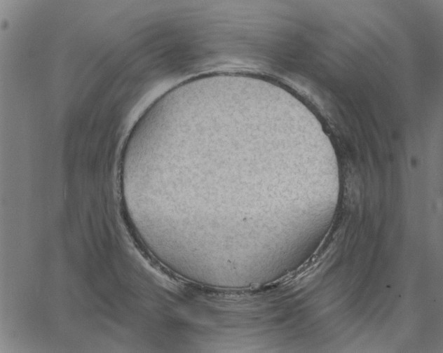 X0000067511375200604281557