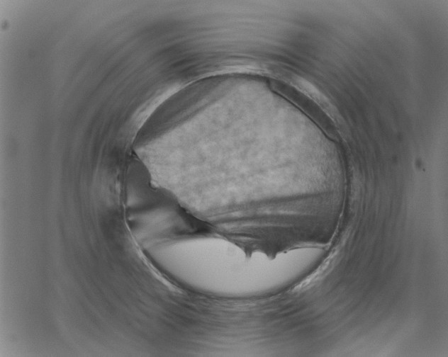 X0000067511377200604281557