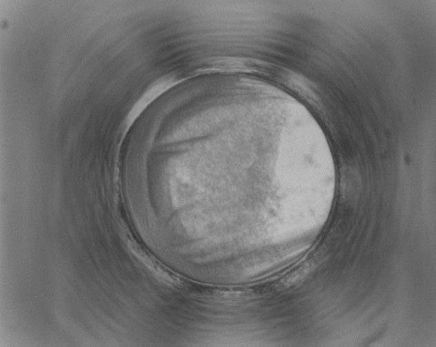 X0000067511378200604281557