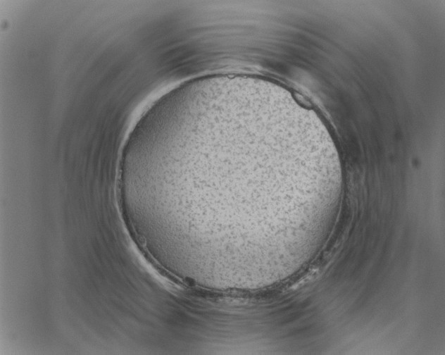 X0000067511379200604281557