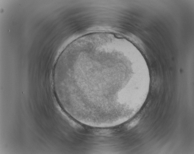 X0000067511382200604281557