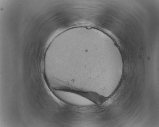 X0000067511383200604281557